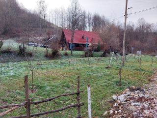 immobilienmakler rumaenien bauernhof grundstueck westkarpaten siebenbuergen apuseni gebirge 16 628